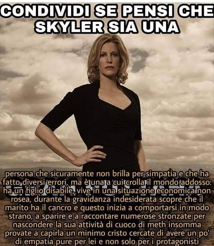 Pensavo di essere l'unico a provare empatia per Skyler 