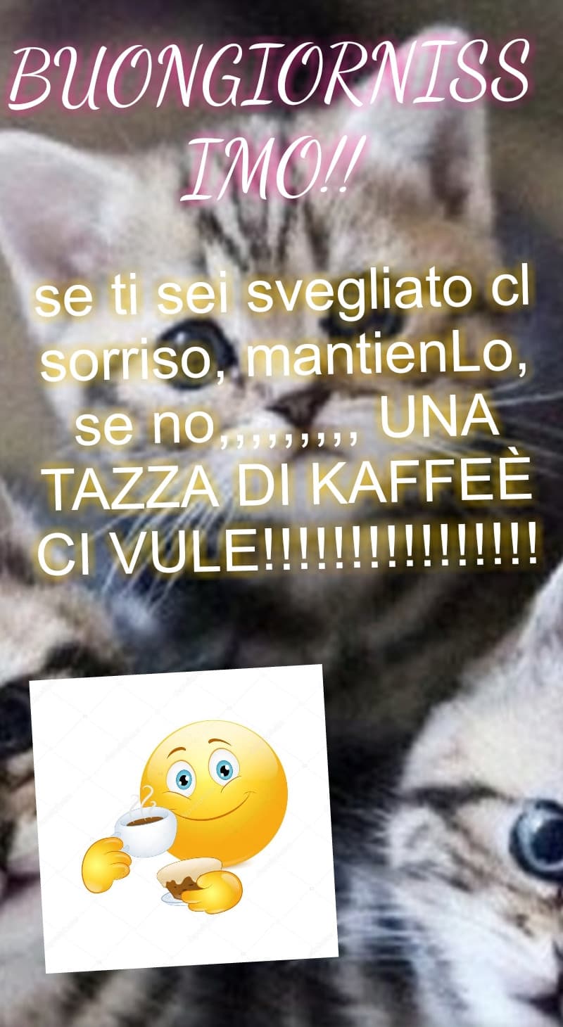 BuOnGiOrNiSsImo!!1!!