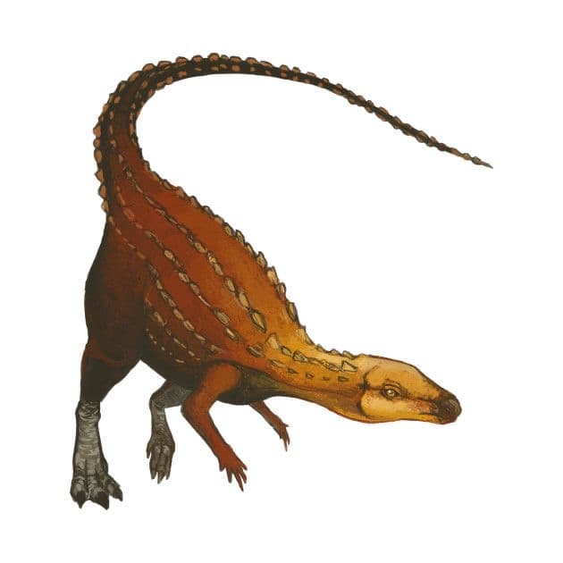 Rubrica sui dinosauri, Scutellosaurus 