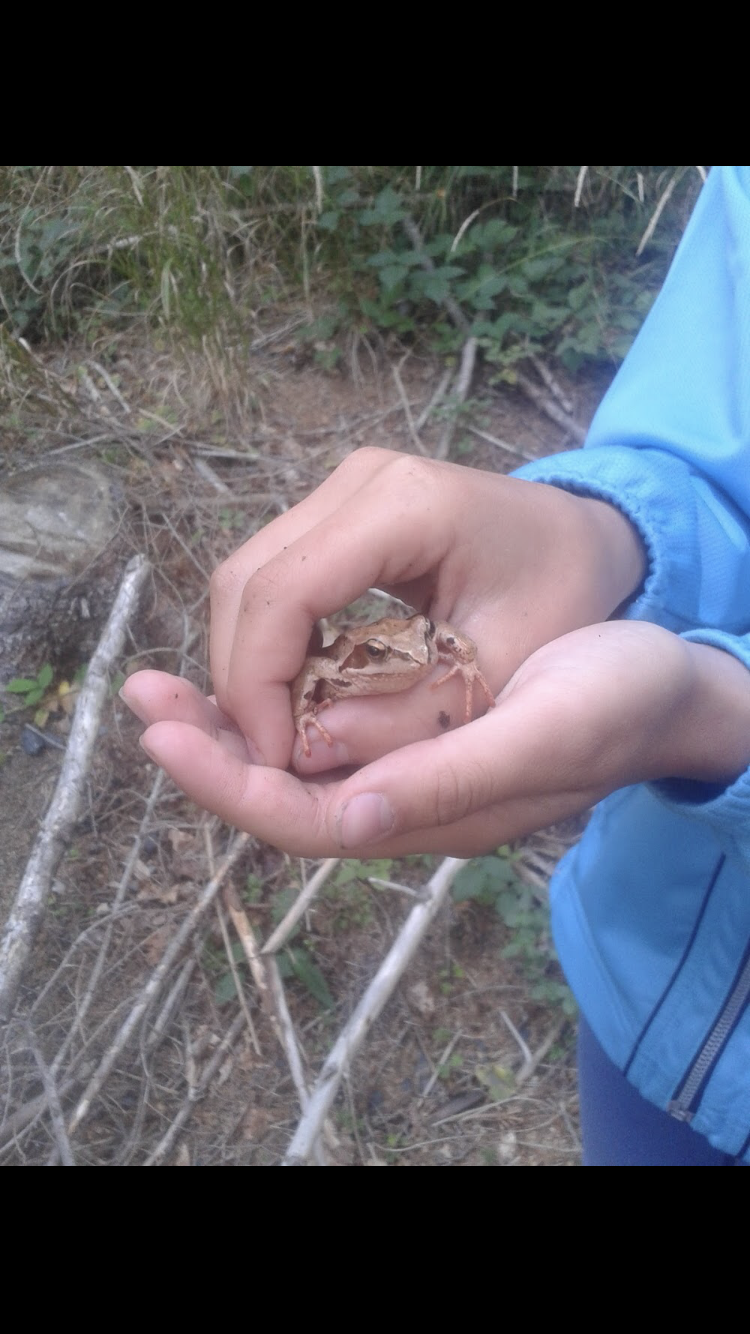 Io?prendere in mano/fotografare da molto vicino ogni animale che per voi è brutto che trovo pt2