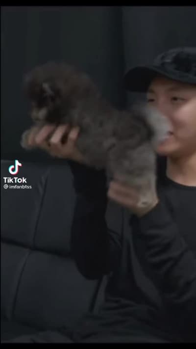 Yeontan del tipo "riportatami dal mio padrone" ?️??️