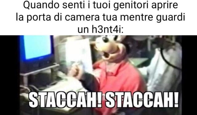 scusate agli hentai preferisco pornazzi normali