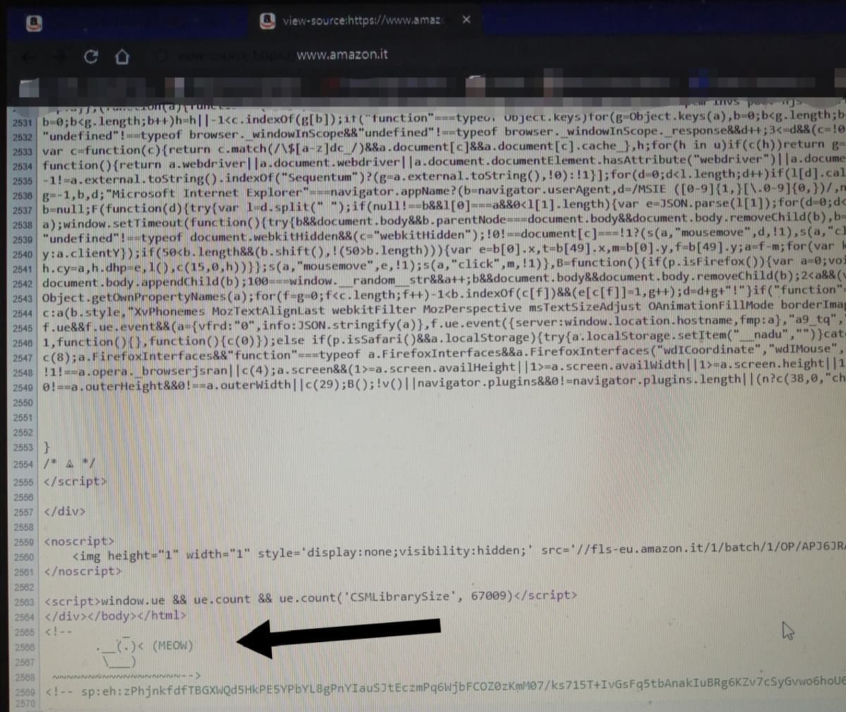 Dentro alla pagina sorgente della pagina principale di Amazon ho trovato questo: una specie di easter egg