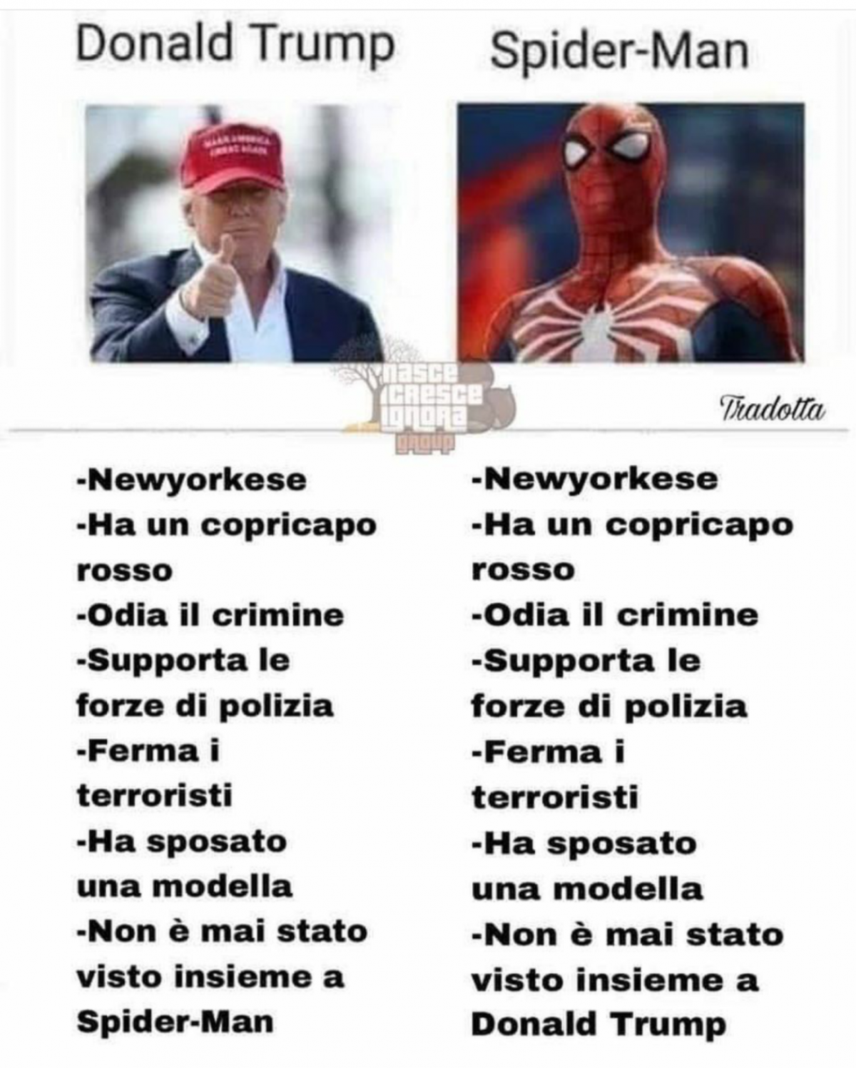 Trova le differenze