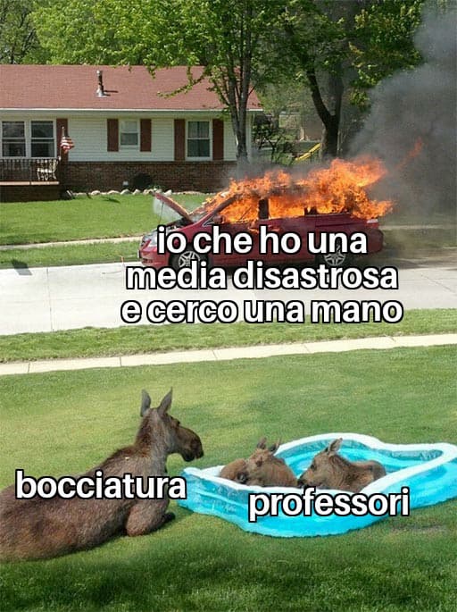 Io l'hanno scorso