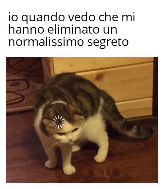 Io oggi :') 