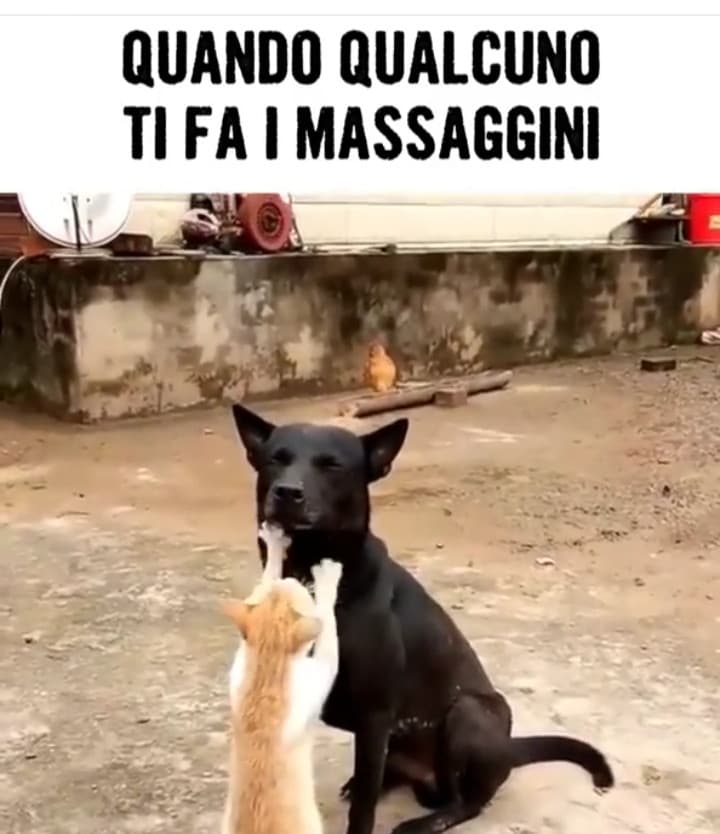 (Si vede che non so cosa postare? )