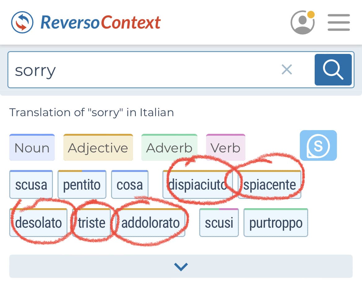 Sorry non significa esclusivamente “scusa”. Le lingue sono diverse e uniche, i significati non sono univoci. 