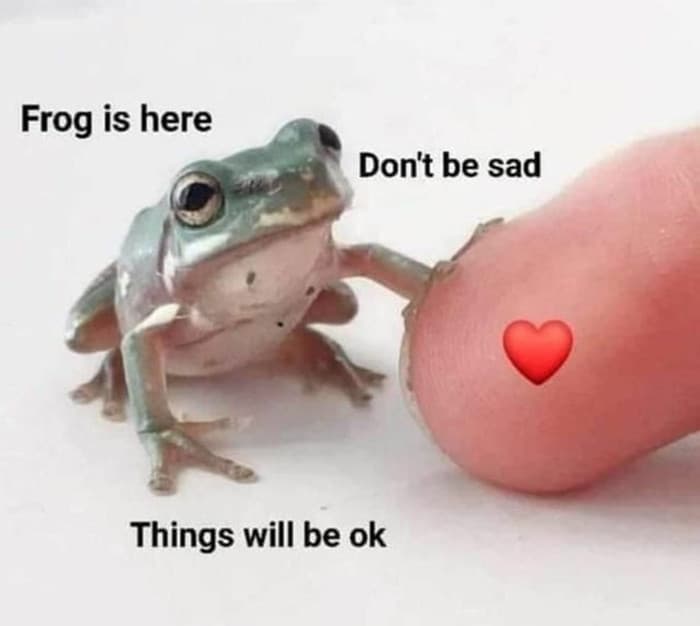 Trust the froggo guys :3