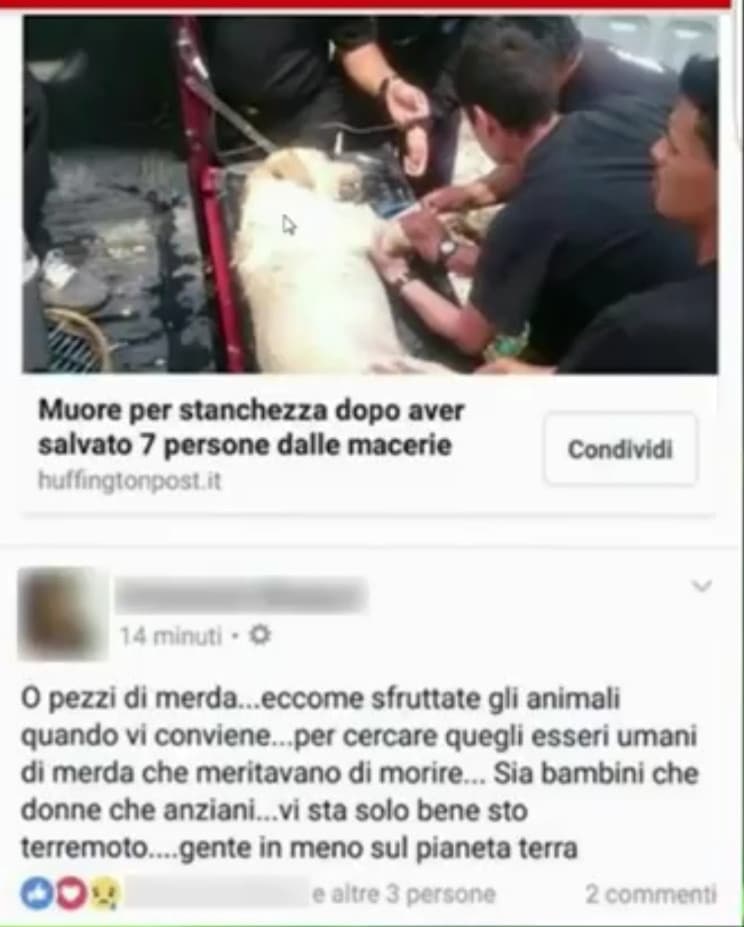 Se fosse stato sotto le macere e se fosse stato salvato da un cane. Gli sarebbe andata bene. Ipocrita