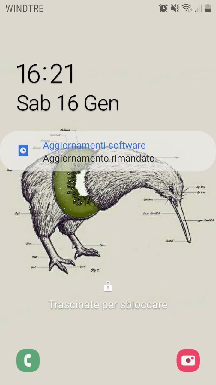 Se non ti interessa puoi benissimo scorrere avanti ed ignorarmi