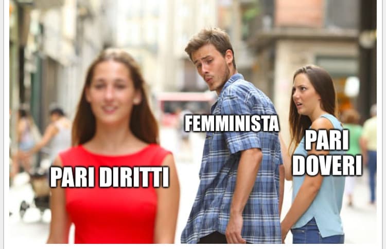 I mejo meme sulle nazi-femministe che per motivi di spazio ho abbreviato con “femministe”.