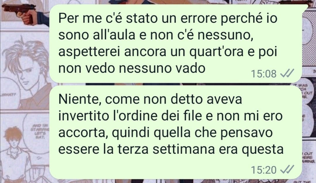 Riassunto della mia stupidità 