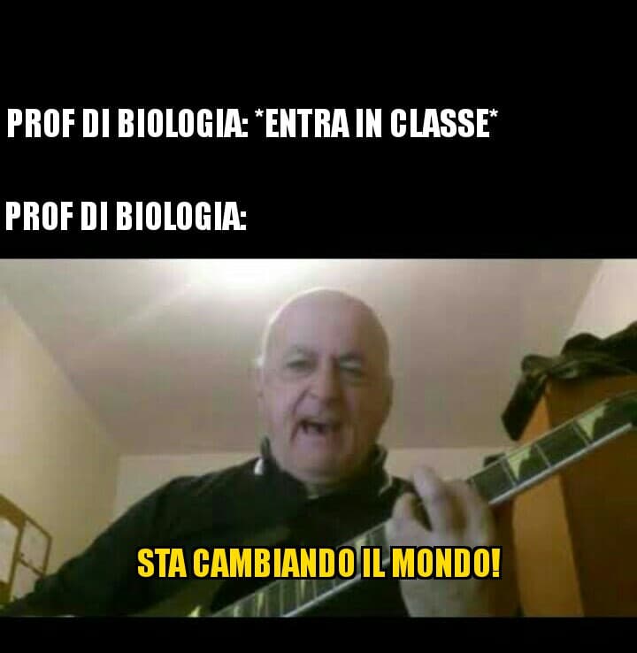 La mia prof.?