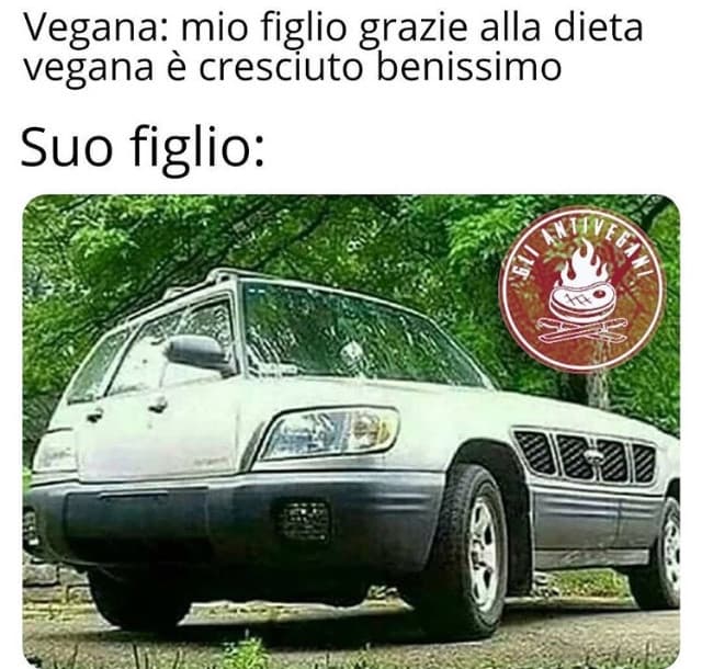 È ironia raga, non ce l’ho con i vegani o con i vegetariani.