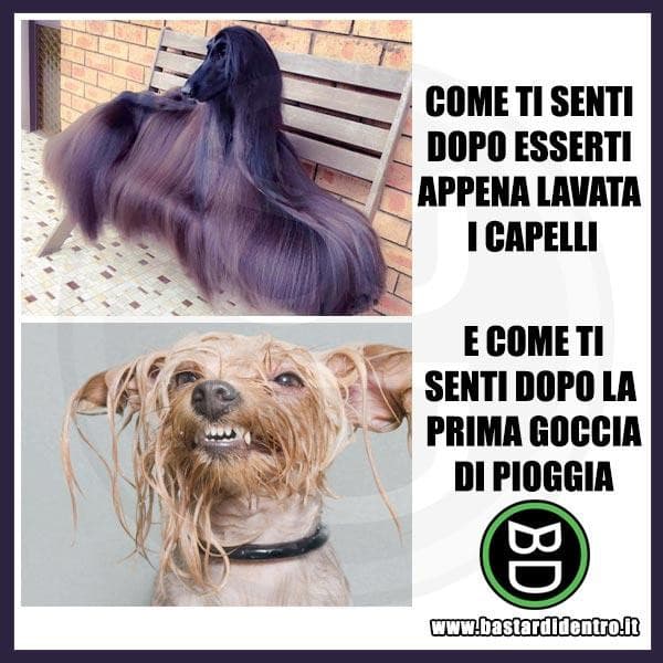 In tema capelli.. 