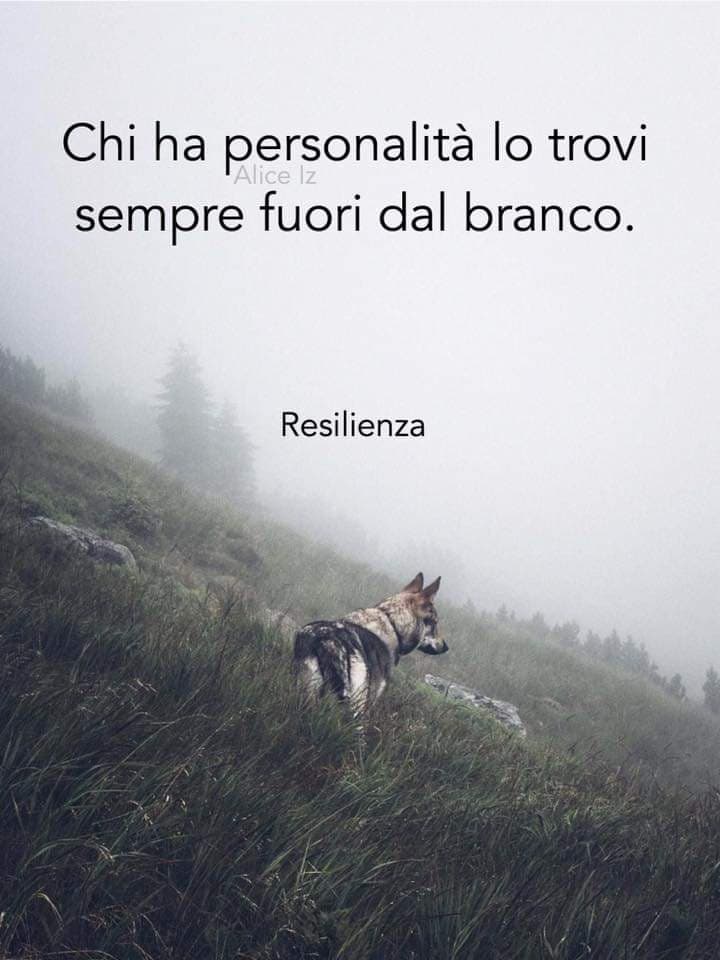 Pura verità 