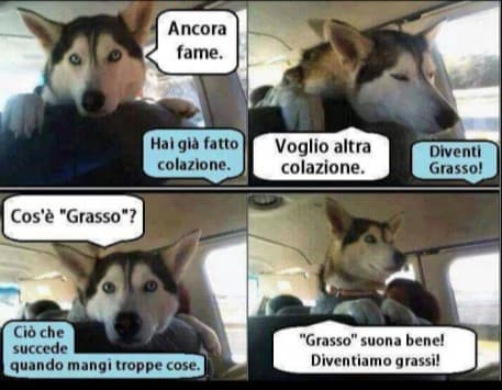 Cani grassi