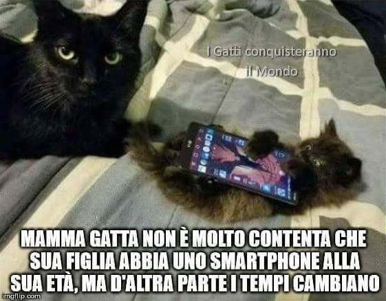 Mamma saggia 