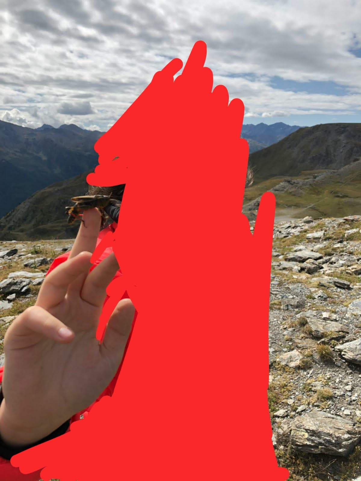 Quando sono andata in Piemonte avevo trovato sta cavalletta gigante, ho messo li la mano e mi è salita sopra, cioè, guardate quanto è grossa