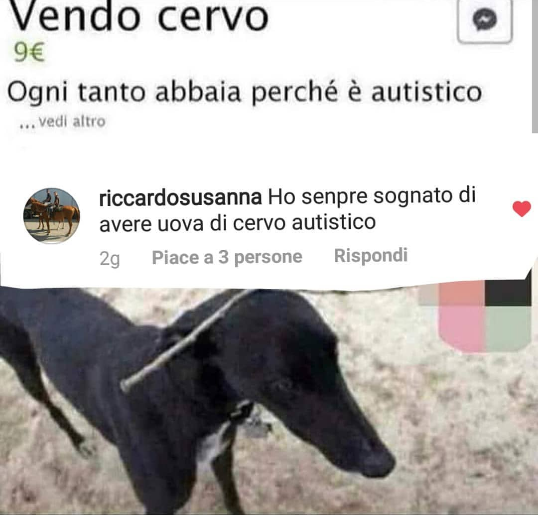 Raga io ci ho perso un polmone dal ridere