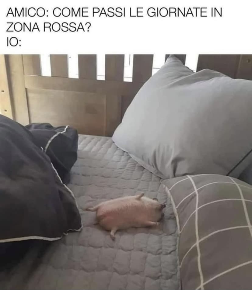 Zona rossa