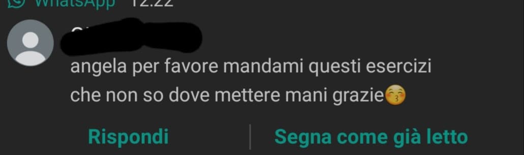 Sto cazzo ti mando?