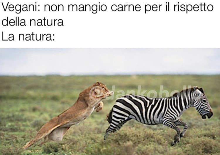 Viva i vegani 