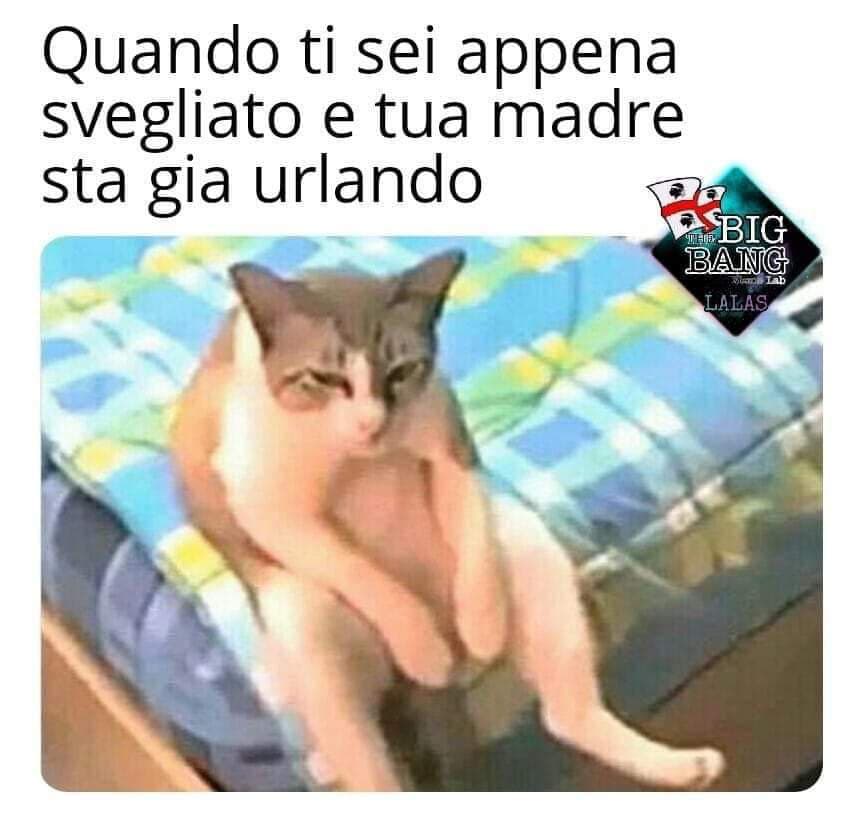 Buongiorno così...