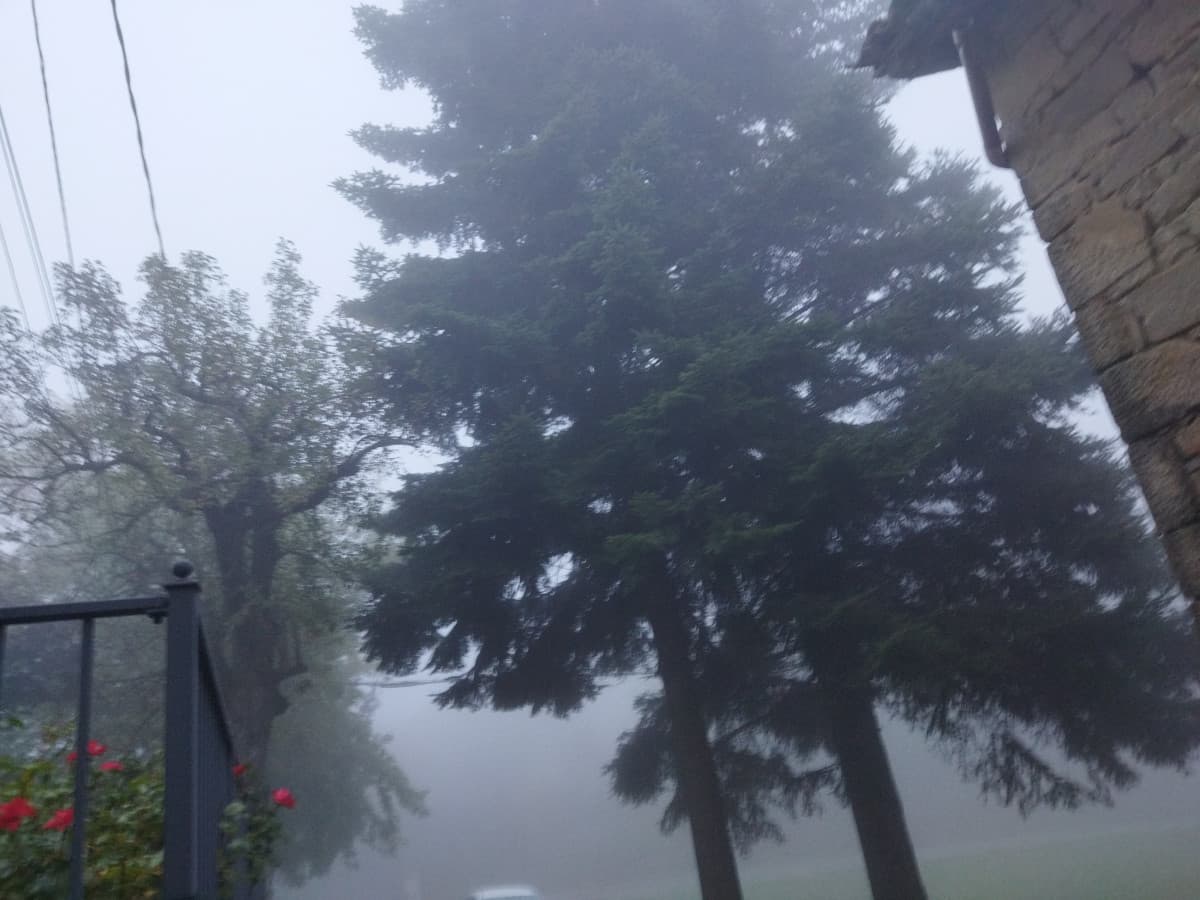 Figa manco abitassi in Lombardia per vere la nebbia a settembre 