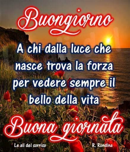 Buona giornata