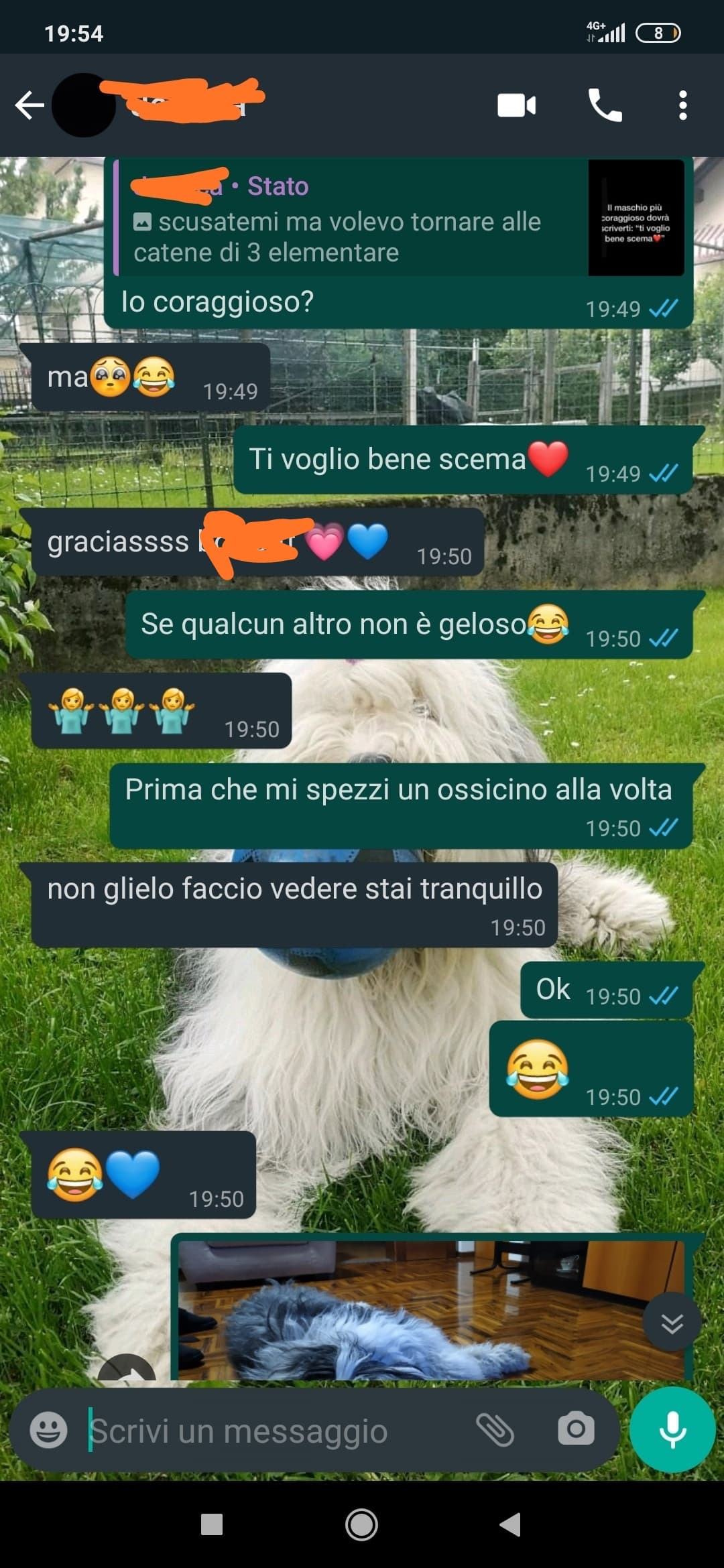 Come si può non amarla?