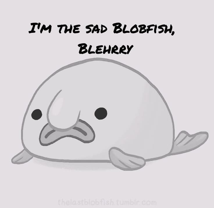 Ho inventato dei personaggi: lui é Blehrry, il triste pesce blob