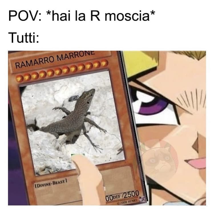 Meme che non fanno ridere a nessuno ma a me si