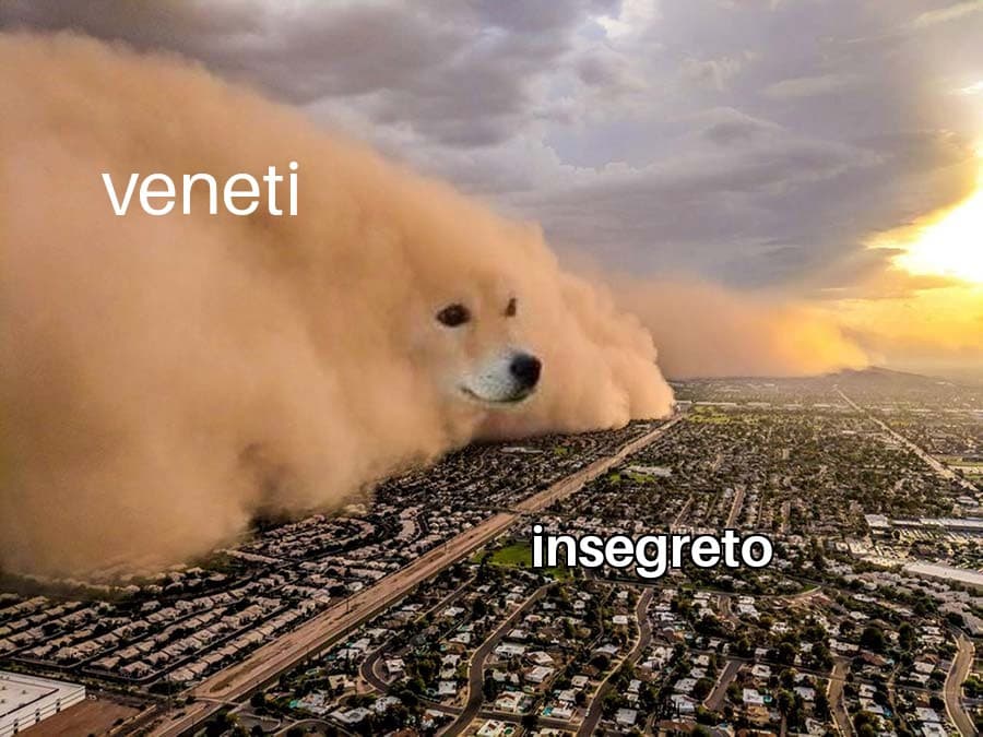 Ci sono tantissimi veneti su insegreto ?