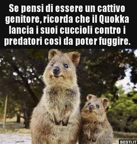 *se pensi di avere dei genitori cattivi 