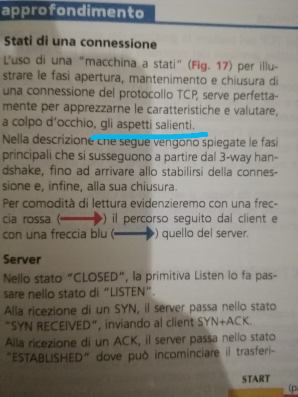 Benvenuti al primo episodio di "robe wtf nel mio libro"