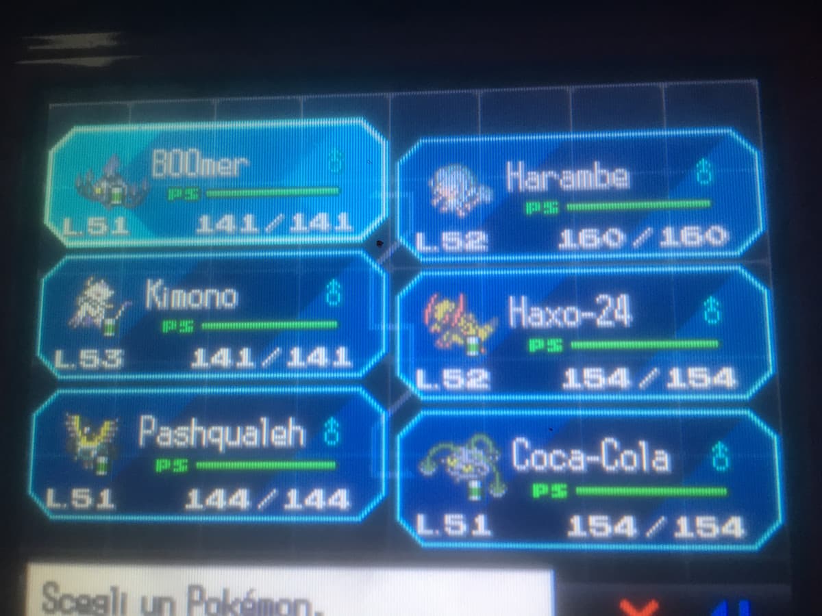 Il mio team figo di pokemon bianco (Pokèmon nero è meglio perché RESHIRAM)