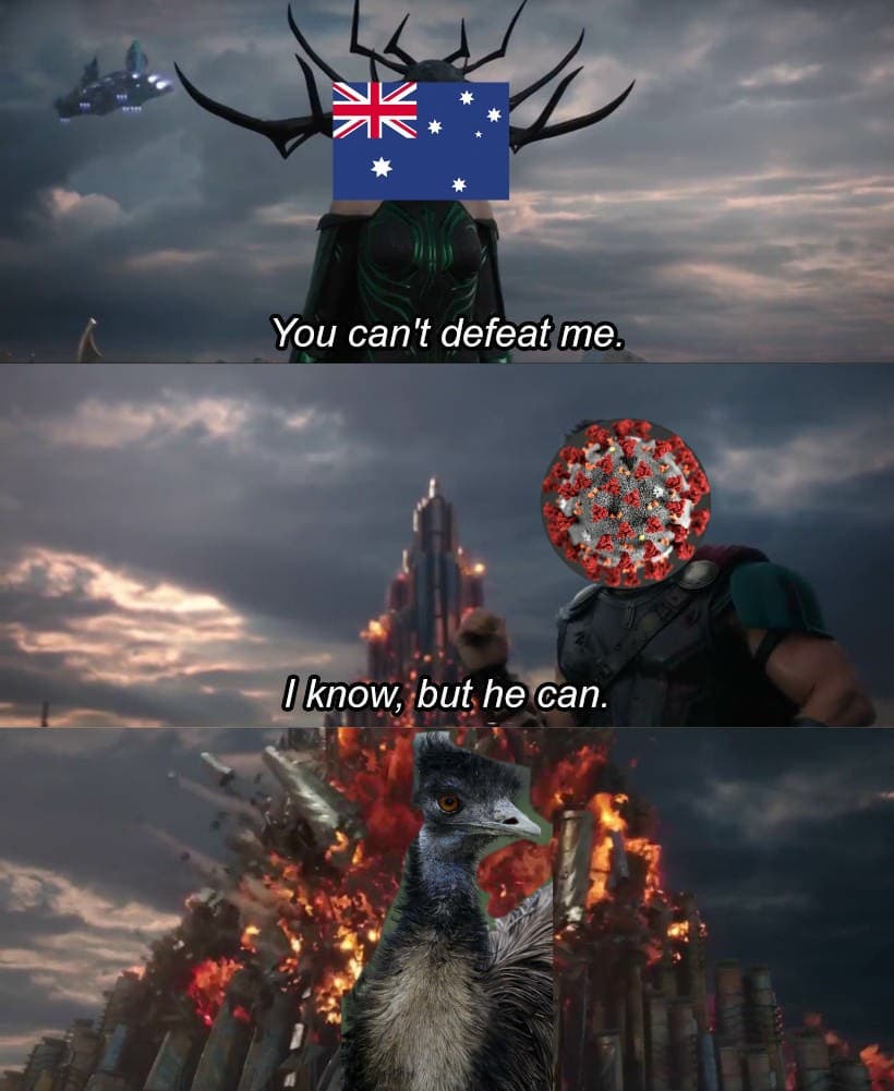 Quando l'esercito australiano incontra un gruppo di emù...