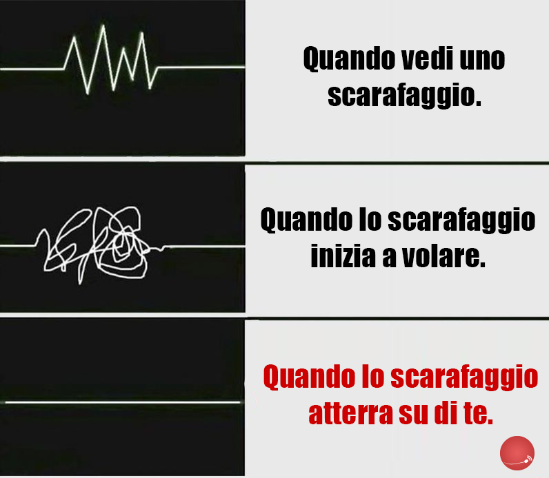 Verissimo