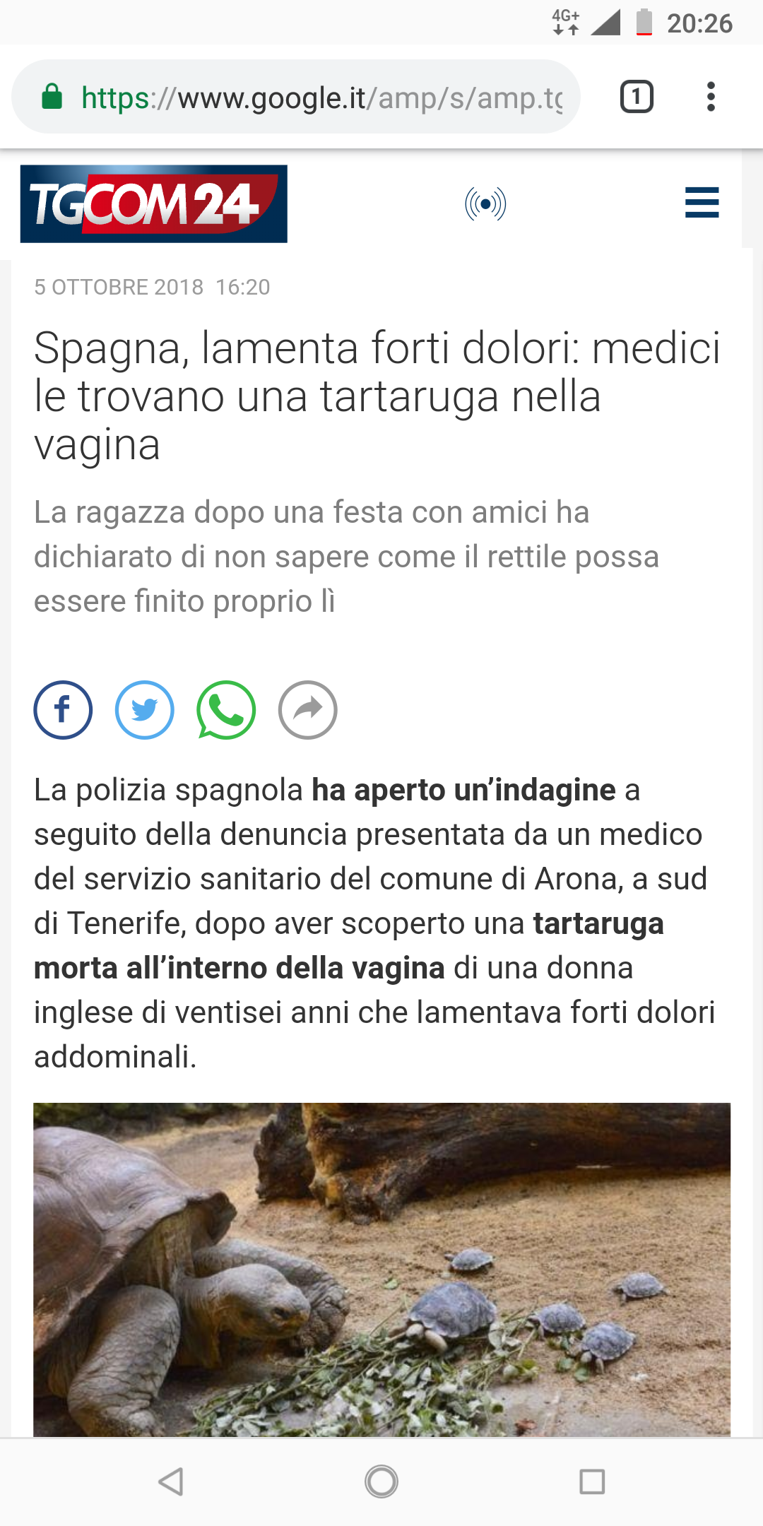 Spero questo sia un incubo