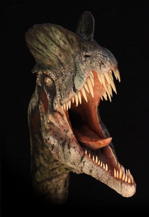 Dilophosaurus! 