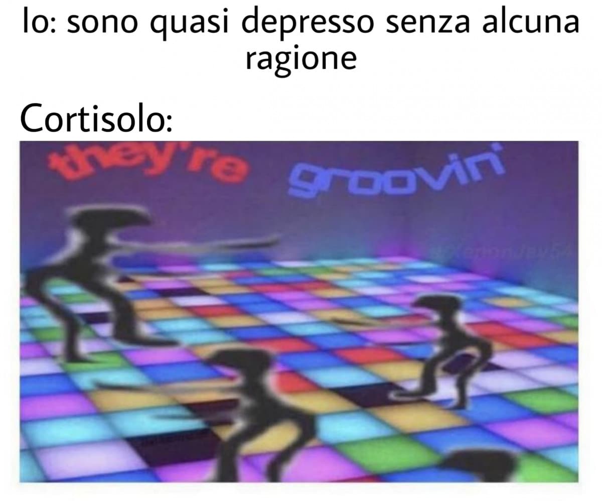 Ho una bella faccia tosta a fare meme su questo argomenti