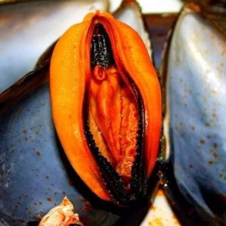 Oggi pepata di cozze ?