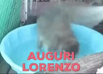 AUGURI LORENZO