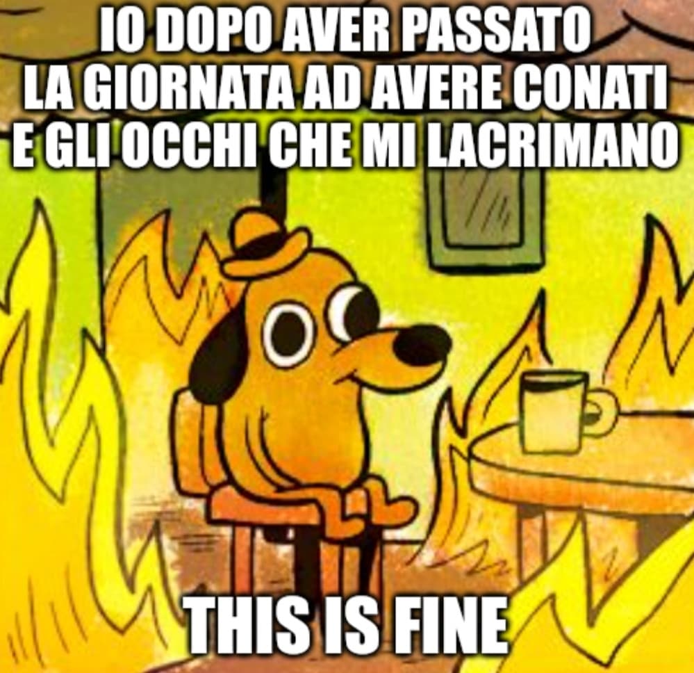 Fine un cazzo raga?