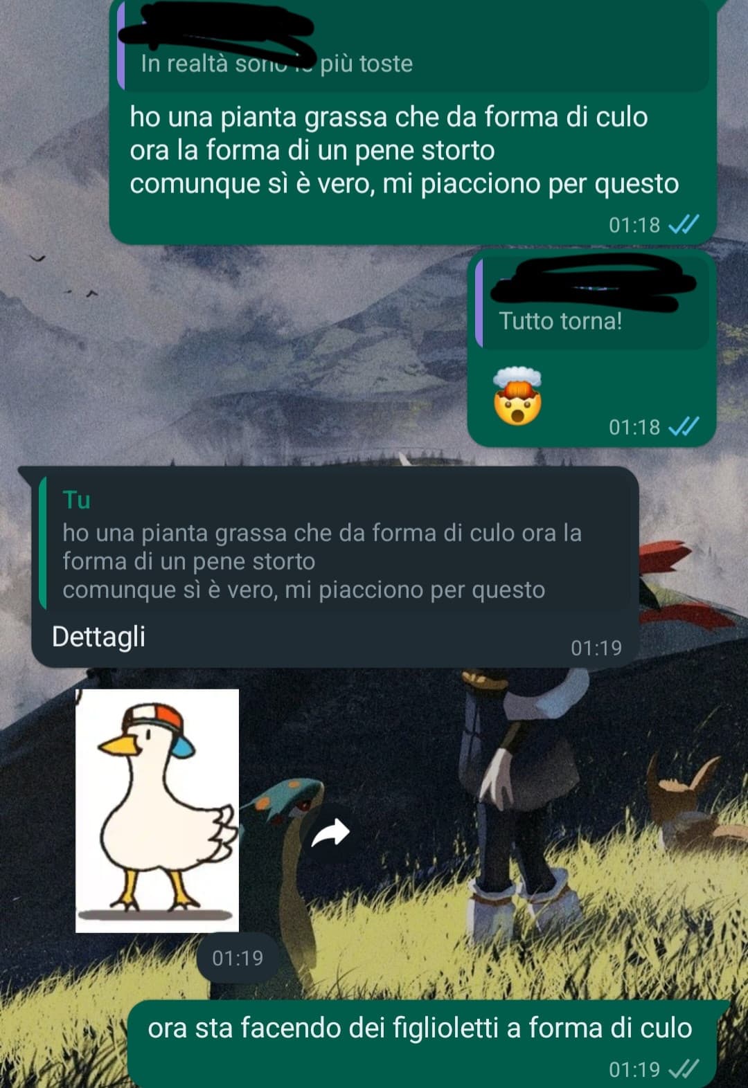 a proposito di pokémon