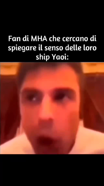 Fan di MHA non linciatemi