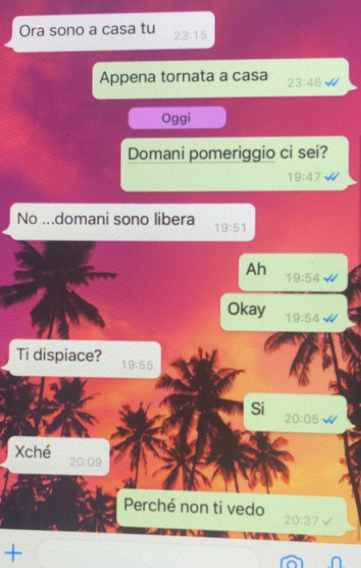 Il mio bellissimo modo di provarci con le persone (non fatteci caso alla sua abbreviazione, è una ragazza adulta) 