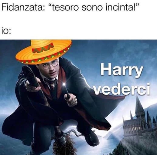 Hola Chicos